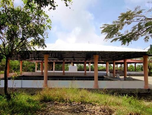 Gò cây thị